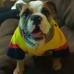 Meet your Posher, Dave